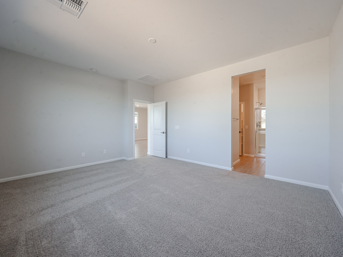 A room with a carpet and doors.