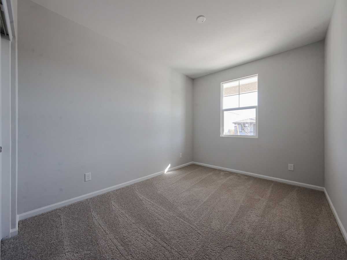 A room with a window and a carpet.