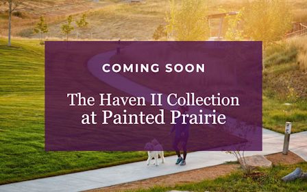 A person walking a dog.