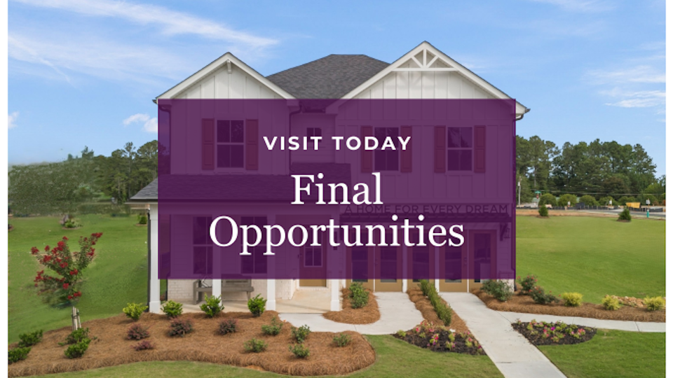 A house with a lawn and a large lawn.