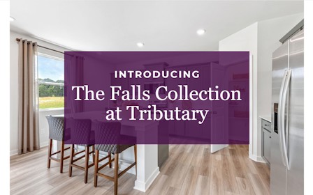 A room with a purple wall and chairs.