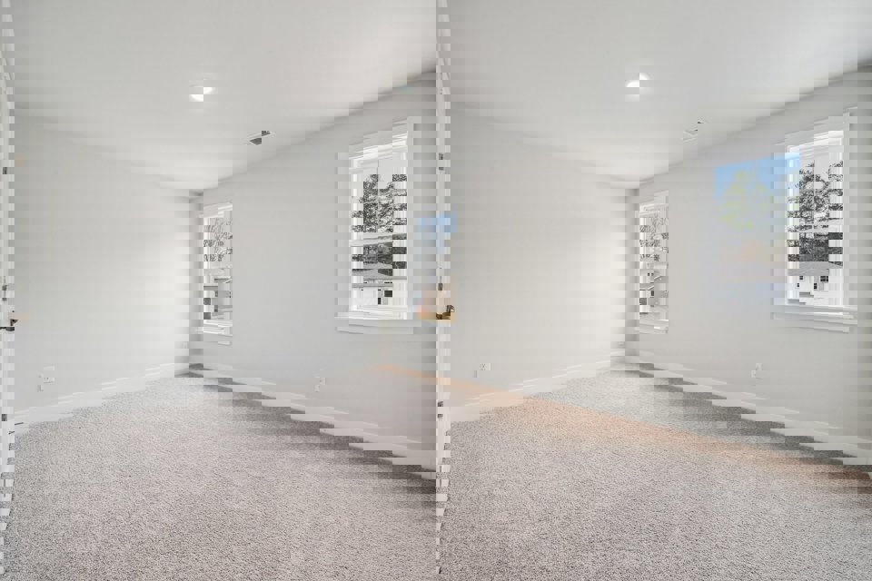 A room with a carpet and windows.