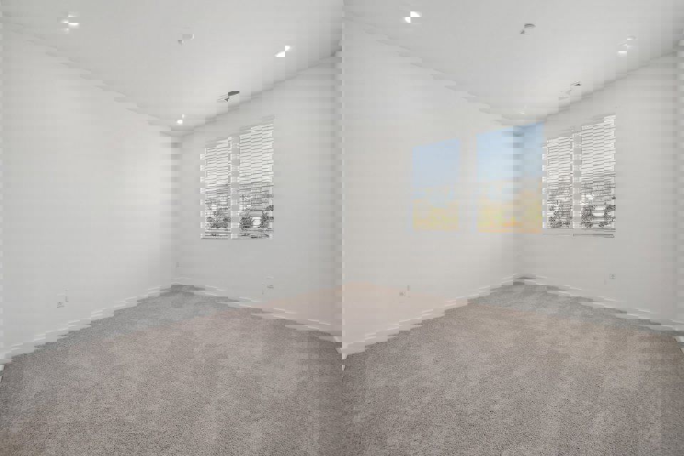 A room with a carpet and windows.