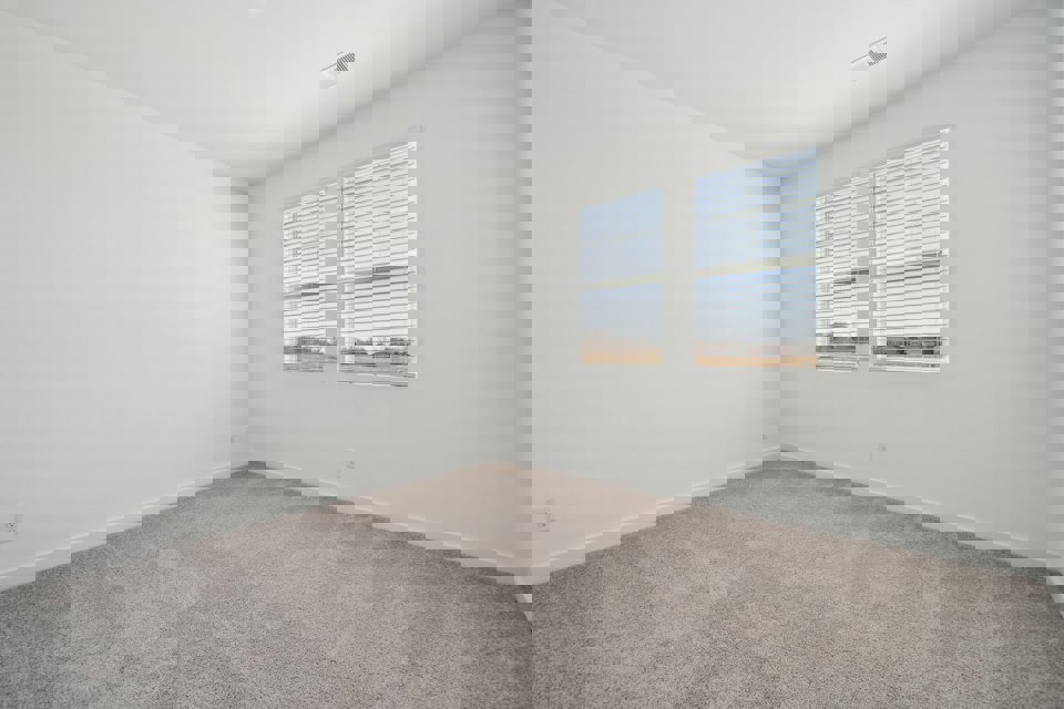 A room with a carpet and windows.