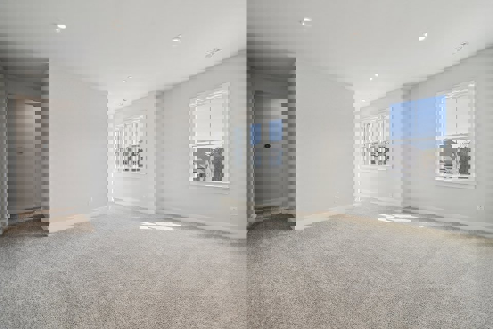 A room with a carpet and windows.