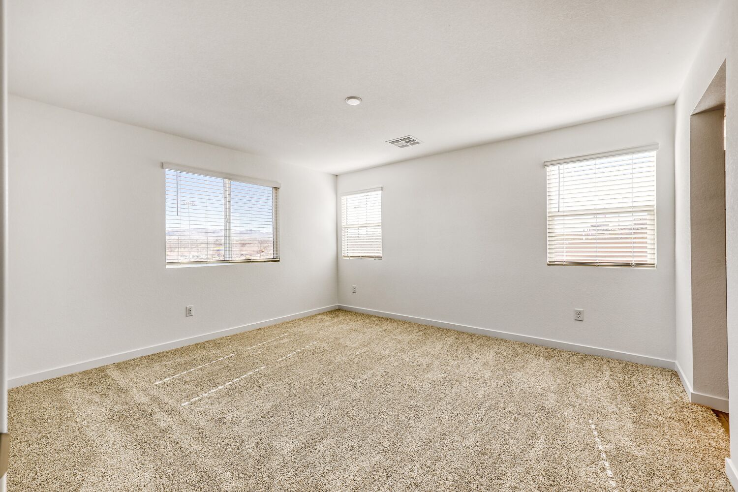 A room with a carpet and windows.