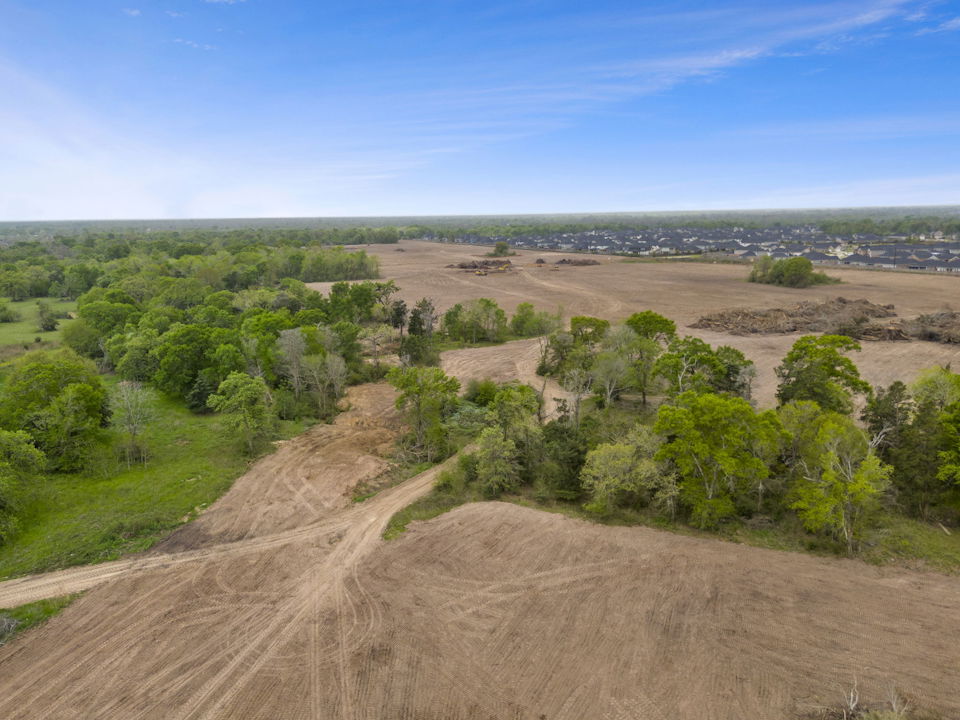 A dirt road with trees on the side.