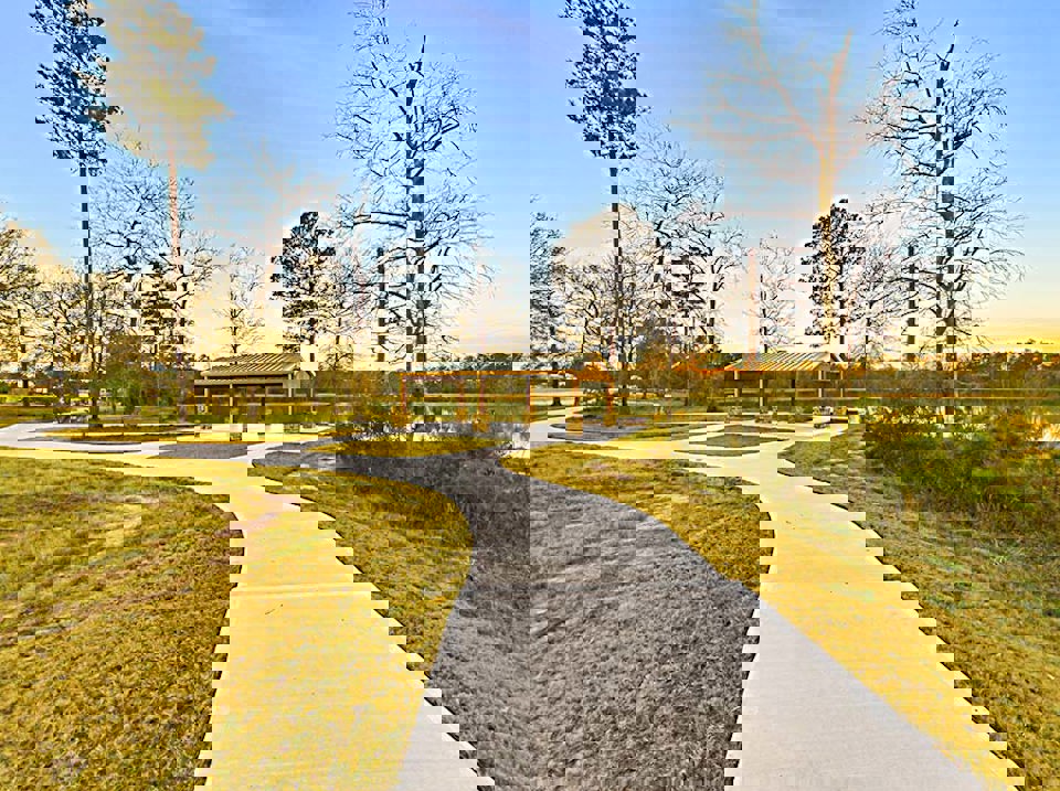 A path with grass and trees.