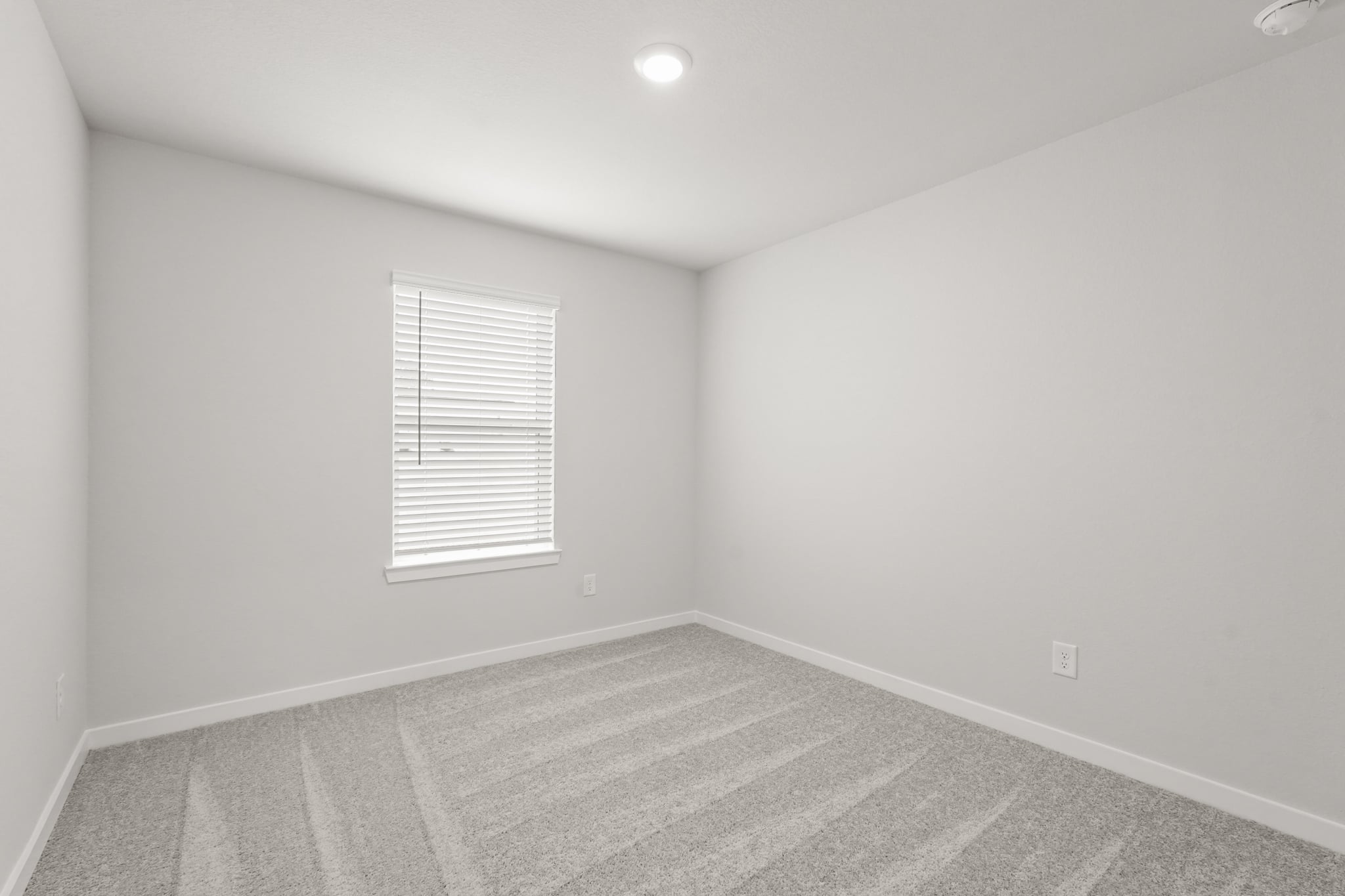 A room with a rug and a window.