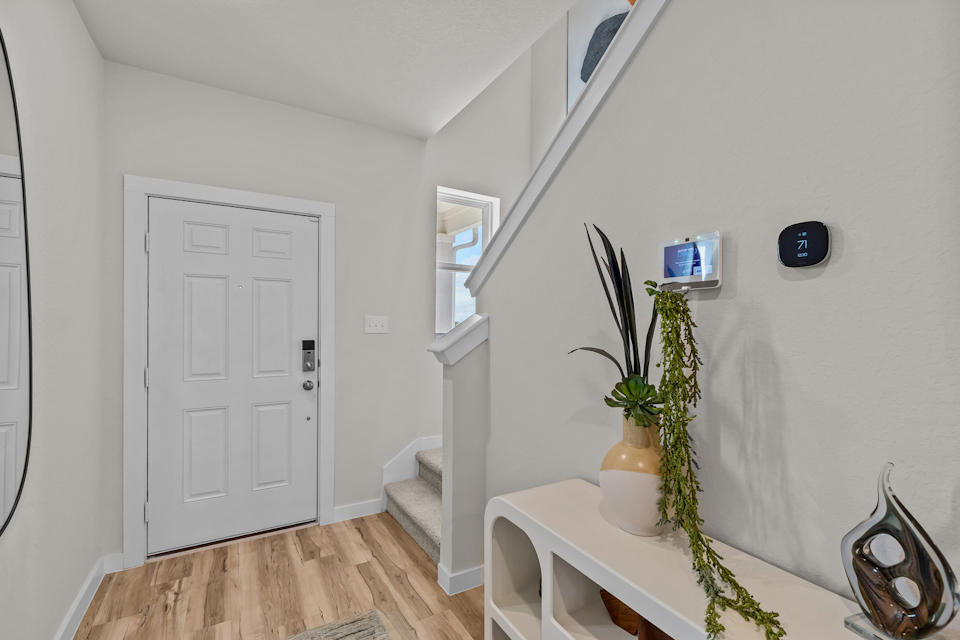 A white room with a white door and a plant in a white vase.