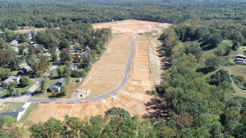 A road with trees and houses.